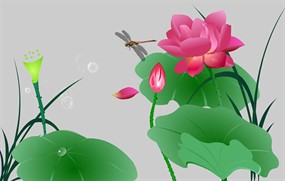 蜻蜓点水荷花flash动画